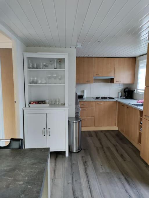 Chalet Midden In De Natuur! Anloo Bagian luar foto