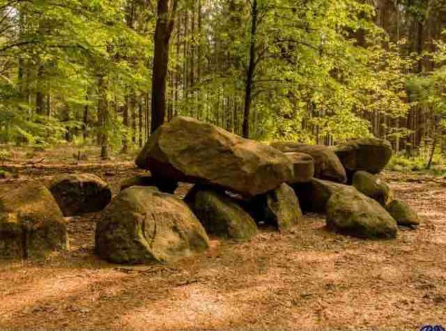 Chalet Midden In De Natuur! Anloo Bagian luar foto